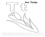 tulip alphabet e14a