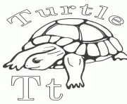 alphabet  turtle animal97b5