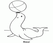 seal preschool s zoo animalsf97c