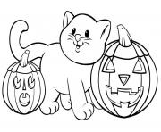 pumpkin cat printable halloween