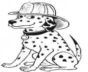 dalmatian with fire man hat 7b8c