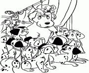 room full of dalmatians 9898