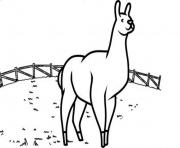 Printable cute llama print sd314 coloring pages