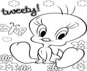 looney tunes tweety bird sd75a