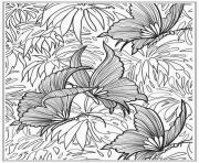 printable butterfly for adults coloring pages