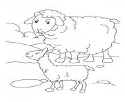 sheep  for kidscb5e