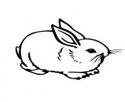 pretty s for kids rabbit7aa3