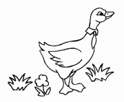 goose printable animal s for kids6cf5