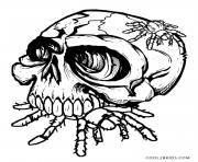 Skulls eat spider