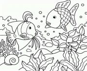 rainbow fish s of sea animalsf3b1