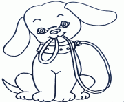 puppy with ropeb64b