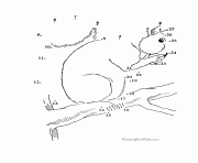 022 dot to dot pages