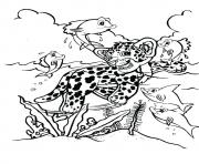 The leopard hunter a4