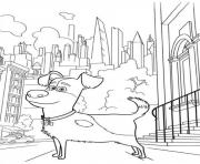 max dog walk in the city secret lifeof pets