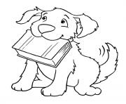 dog biting a book 626d