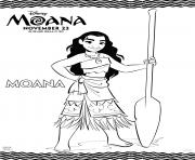 Disneys Moana Princess