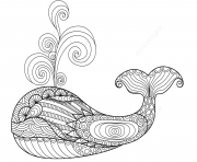 whale zentangle adults