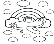 pusheen real pilot in a plane