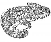 mandala chameleon animal