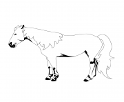 horse isolated