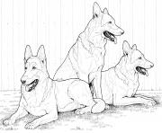 Printable german shepherddog coloring pages