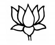 lotus flower natural