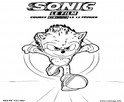 sonic a small blue fast hedgehog