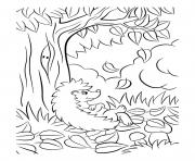 fall hedgehog falling leaves mushrooms