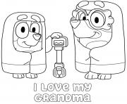 Bluey i love my grandma