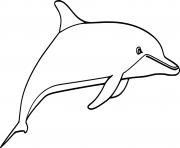 Clymene Dolphin