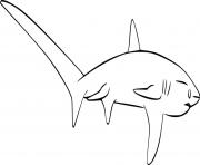 Easy Thresher Shark