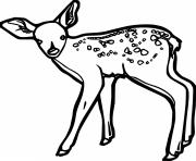 Simple Little Spotted Deer