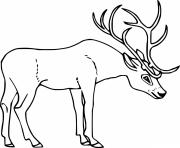 Deer with Big Antler