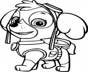 Simple Skye from Paw Patrol