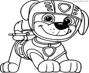 Simple Paw Patrol Zuma