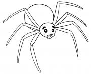 simple spider