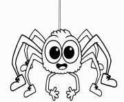 adorable spider