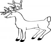 Thin Reindeer