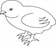 Very Easy Chick coloring pages